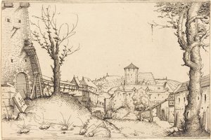 Courtyard of a Castle by Augustin Hirschvogel